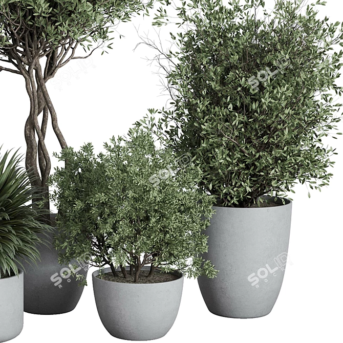 Outdoor Plant Set 156 Trees 3D model image 4