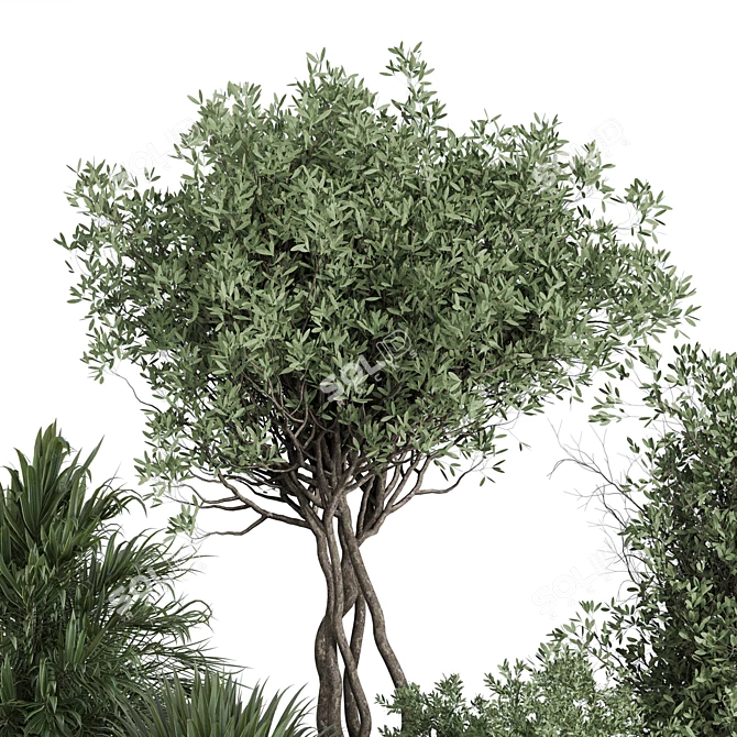 Outdoor Plant Set 156 Trees 3D model image 5