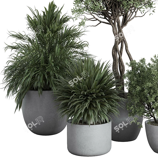 Outdoor Plant Set 156 Trees 3D model image 6