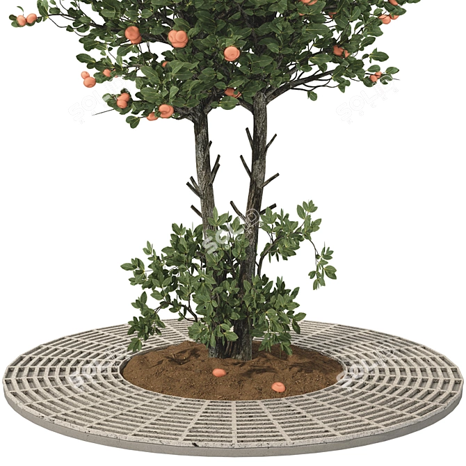 Tangerine Tree 3D Model Collection 3D model image 3