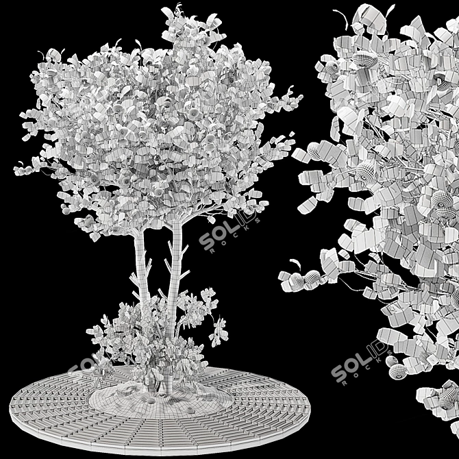 Tangerine Tree 3D Model Collection 3D model image 6