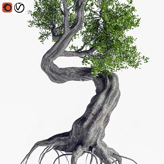 Sculpted Tree Duo, 2016 Design 3D model image 2