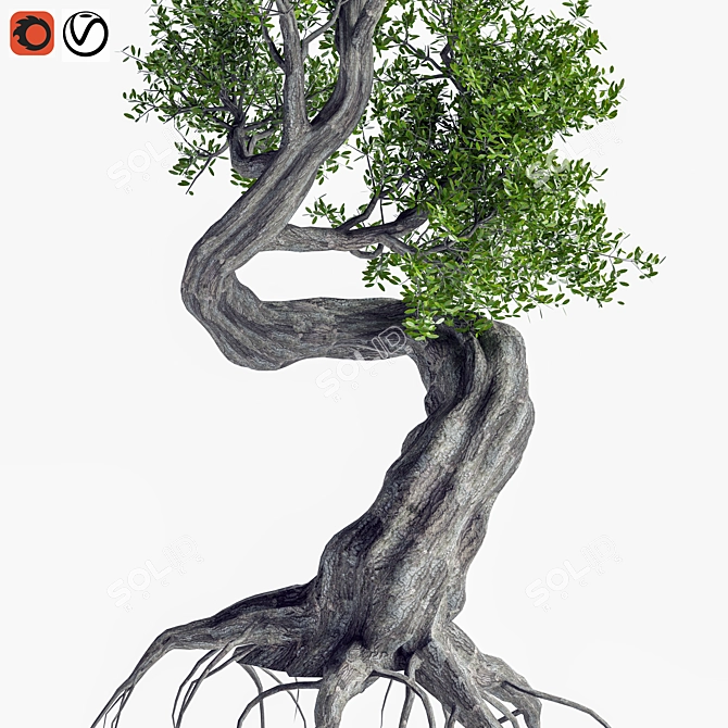 Sculpted Tree Duo, 2016 Design 3D model image 5