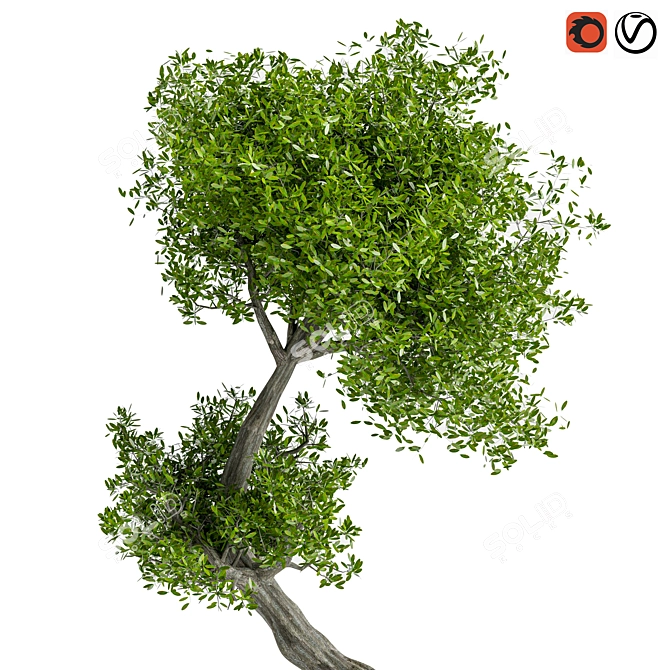 Sculpted Tree Duo, 2016 Design 3D model image 7