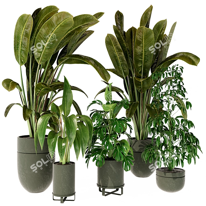 Modern Indoor Plant 280 Decor 3D model image 1