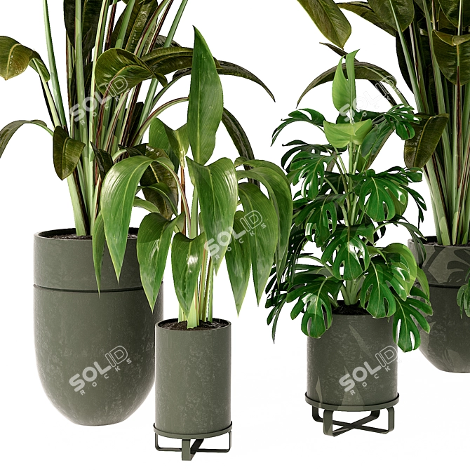 Modern Indoor Plant 280 Decor 3D model image 2