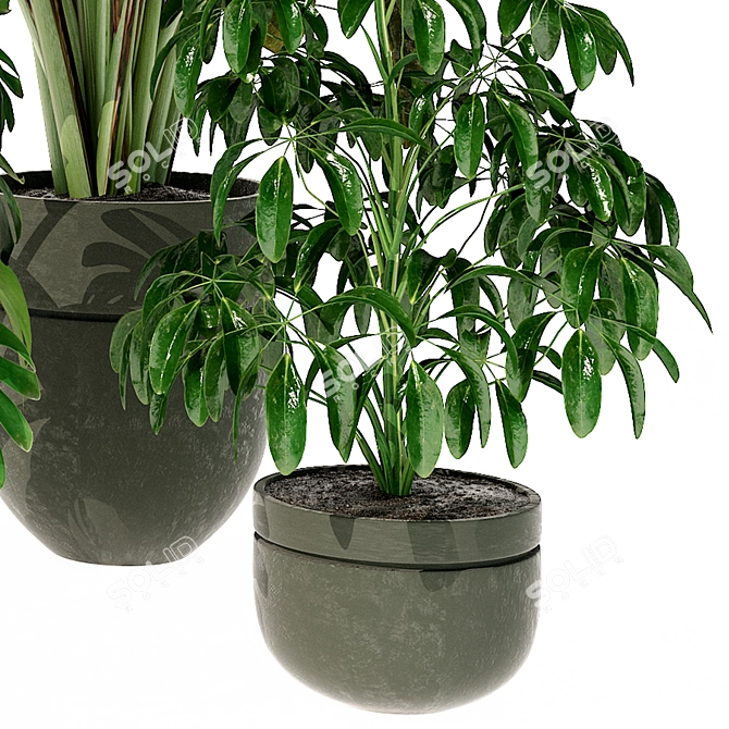 Modern Indoor Plant 280 Decor 3D model image 3