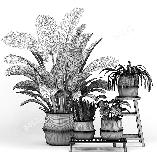 Indoor Foliage Set | Realistic Texture 3D model image 3