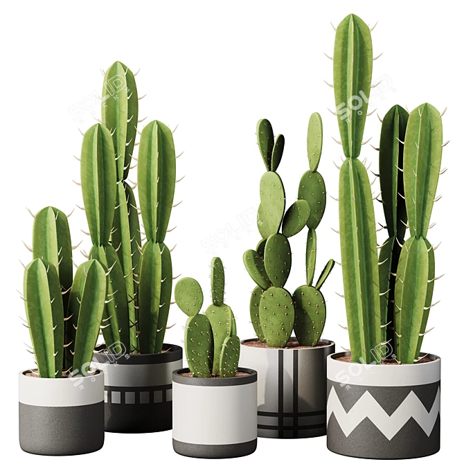 Modern Indoor Cactus Plant Model 3D model image 1