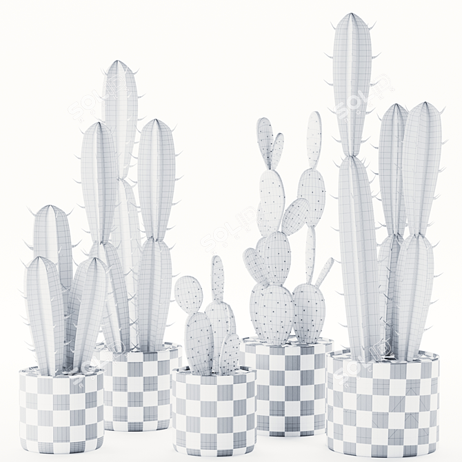 Modern Indoor Cactus Plant Model 3D model image 4