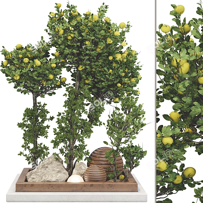 Fruitful Apple Tree Collection 115 3D model image 1