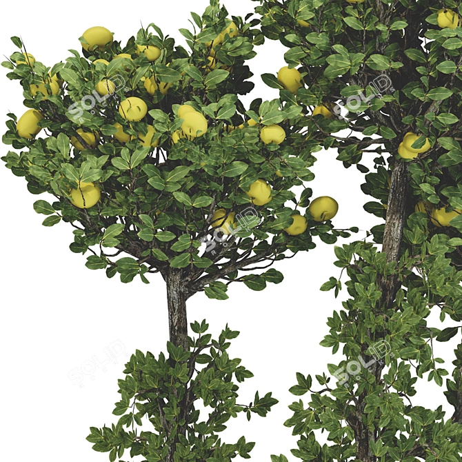 Fruitful Apple Tree Collection 115 3D model image 5