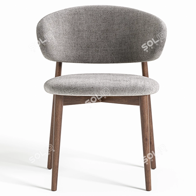 Modern Chic Oleandro Chair Design 3D model image 3