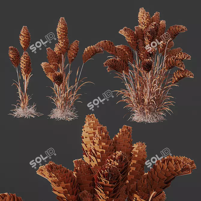 Foxtail Barley HQ Ornamental Plant 3D model image 5