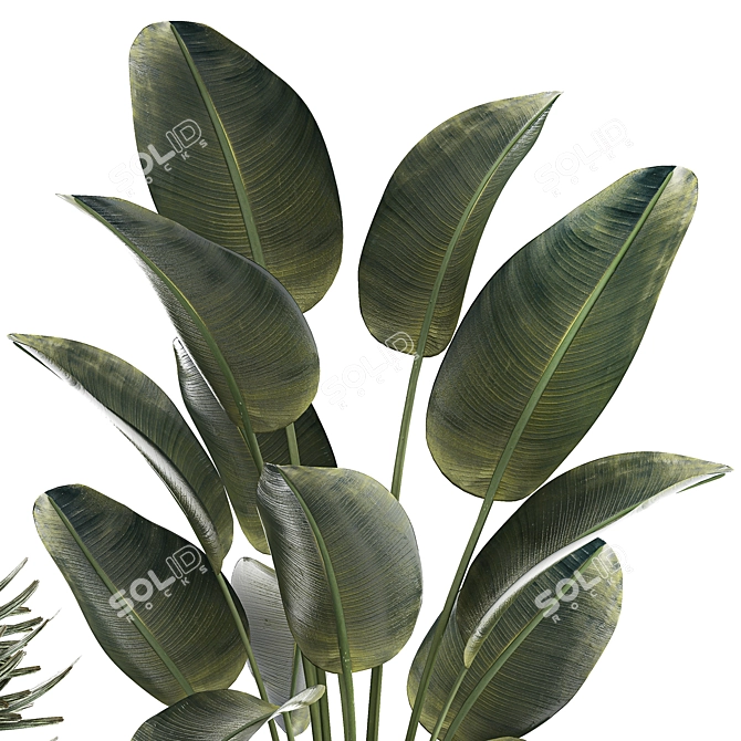 Tropical Plant Collection in Concrete Pot 3D model image 2