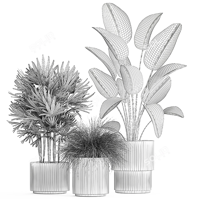 Tropical Plant Collection in Concrete Pot 3D model image 6