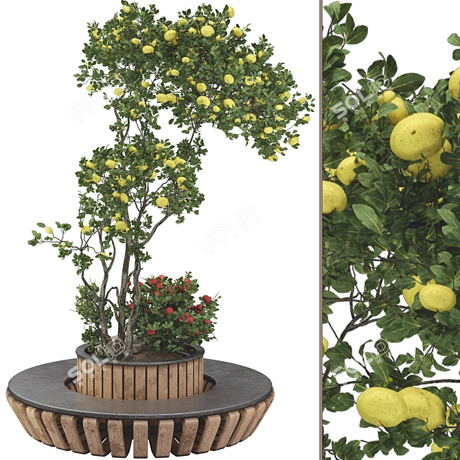 Urban Garden Apple Tree Bench 3D model image 1