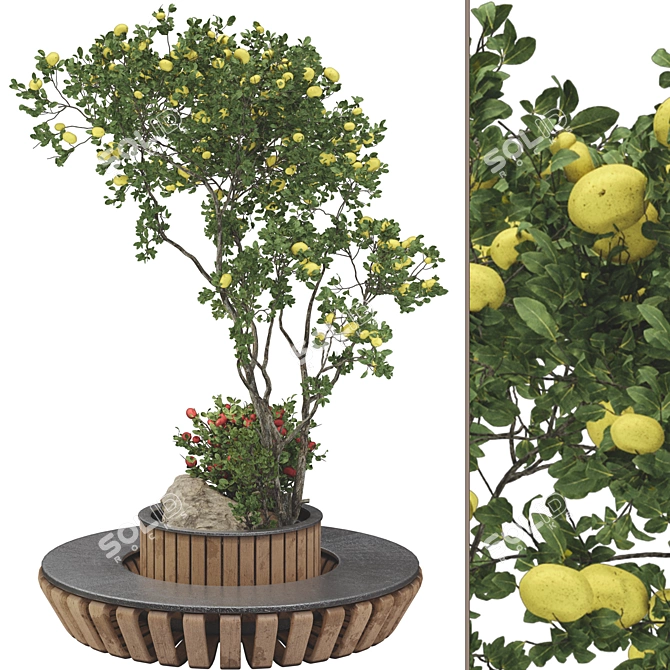 Urban Garden Apple Tree Bench 3D model image 2