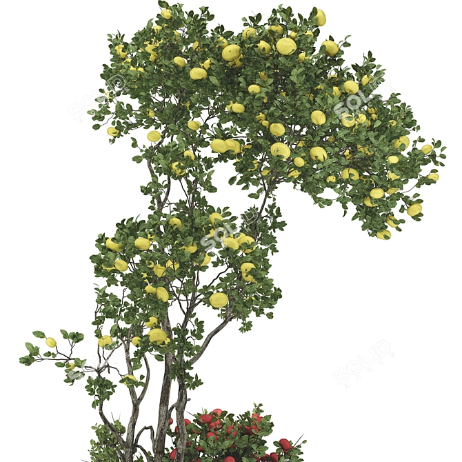 Urban Garden Apple Tree Bench 3D model image 4