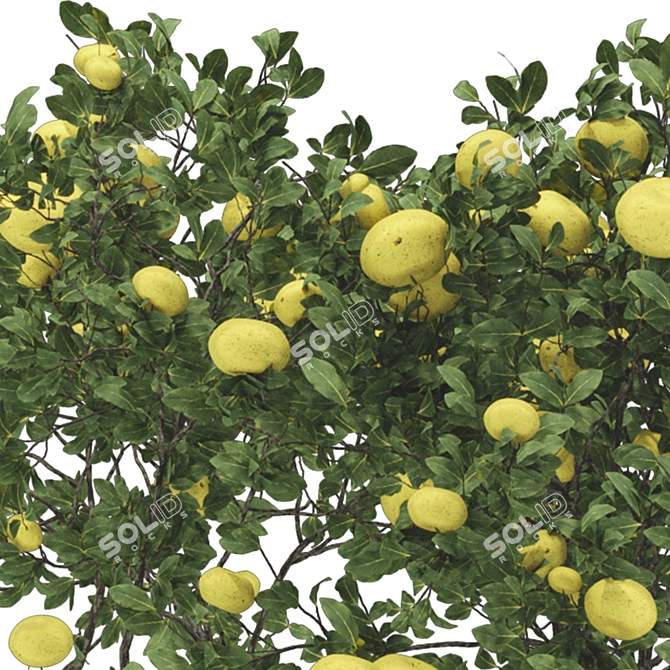 Urban Garden Apple Tree Bench 3D model image 5