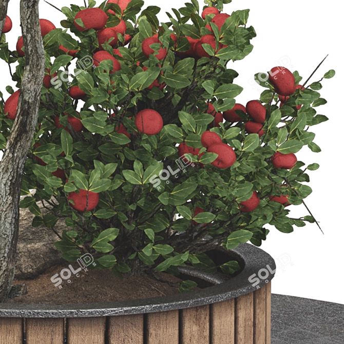 Urban Garden Apple Tree Bench 3D model image 6