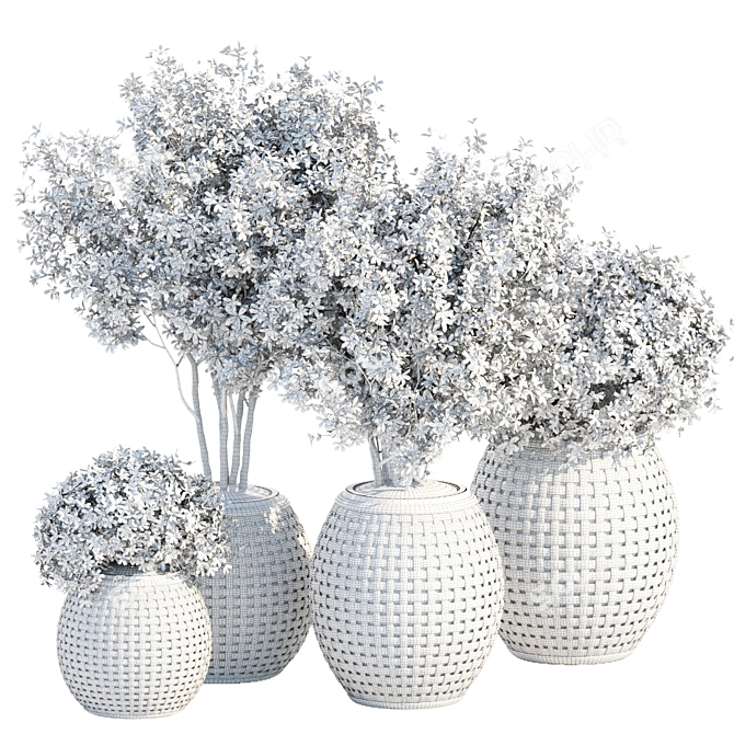 Premium Outdoor Plants Collection Vol 203 3D model image 5