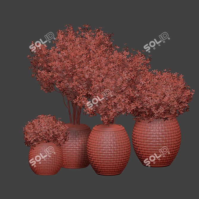 Premium Outdoor Plants Collection Vol 203 3D model image 6