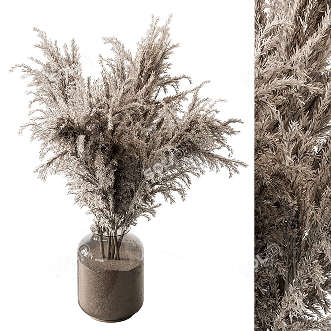  Pampas Dry Plants Bundle 3D model image 1