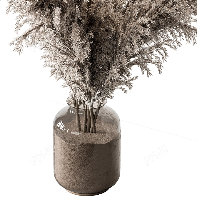  Pampas Dry Plants Bundle 3D model image 3