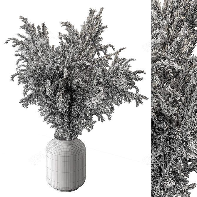  Pampas Dry Plants Bundle 3D model image 4