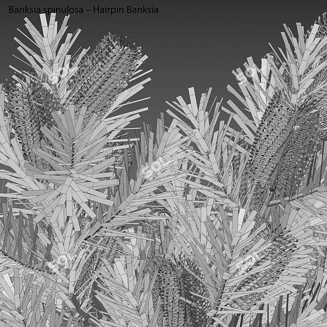 Versatile 3D Plant Models Pack 3D model image 1