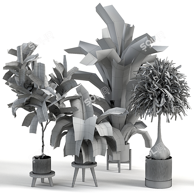 Assorted Indoor Plant Set 3D model image 3
