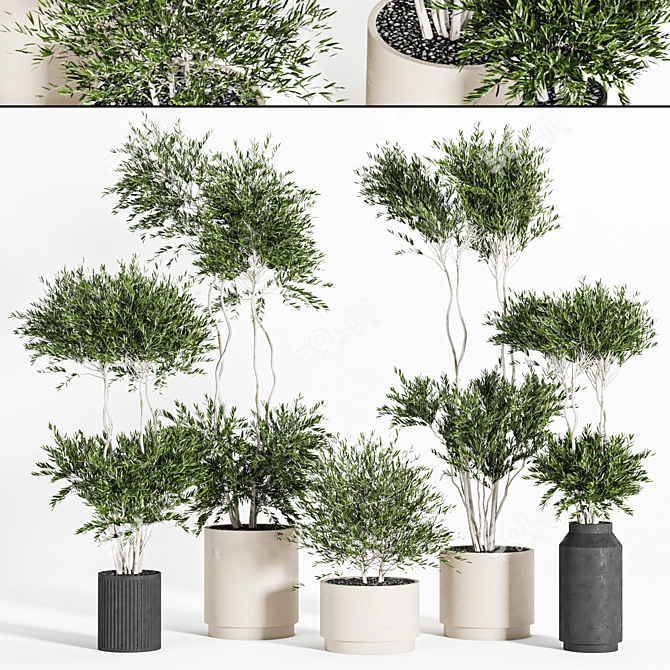 Reshapeable Indoor/Outdoor Plants 3D model image 1