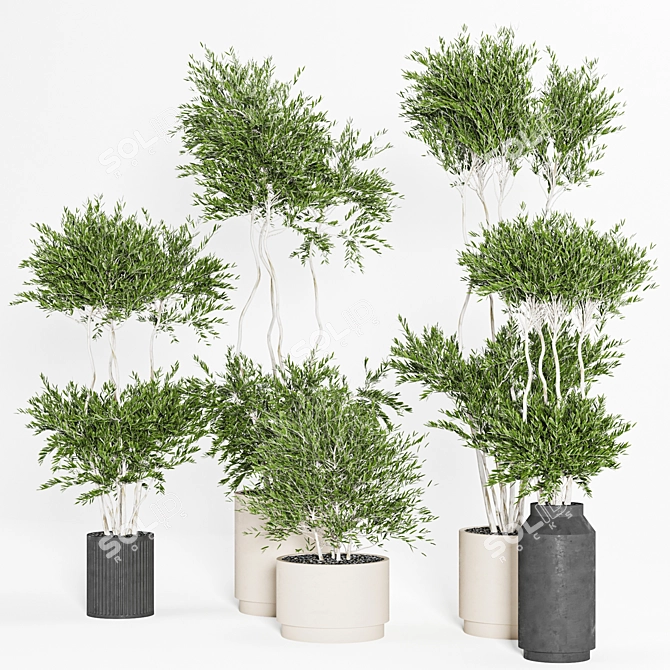 Reshapeable Indoor/Outdoor Plants 3D model image 2