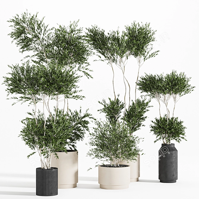 Reshapeable Indoor/Outdoor Plants 3D model image 3