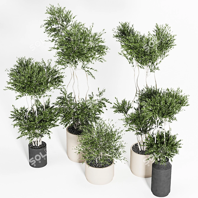 Reshapeable Indoor/Outdoor Plants 3D model image 4