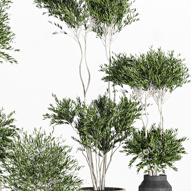 Reshapeable Indoor/Outdoor Plants 3D model image 6