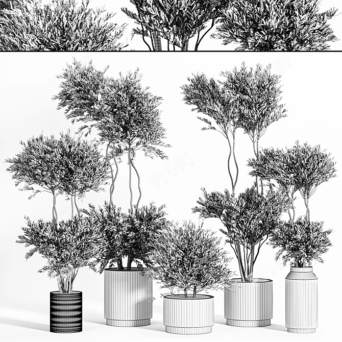 Reshapeable Indoor/Outdoor Plants 3D model image 7