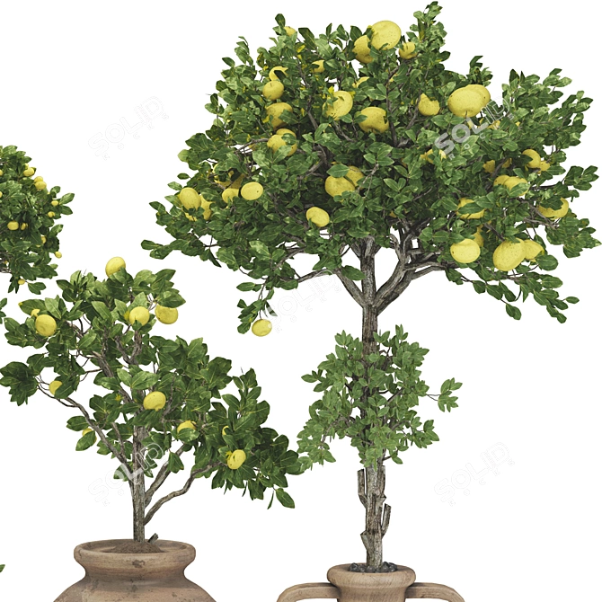 Fruitful Apple Tree in Pot 3D model image 2