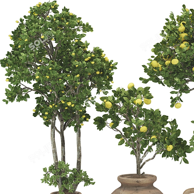 Fruitful Apple Tree in Pot 3D model image 3