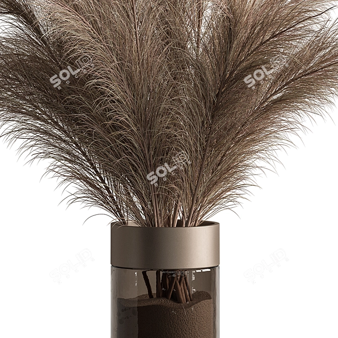 Pampas Dry Plants Bundle 3D model image 2