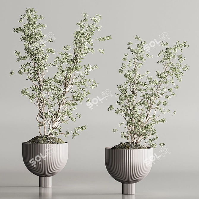 Modern Indoor Plant Set 109 3D model image 3