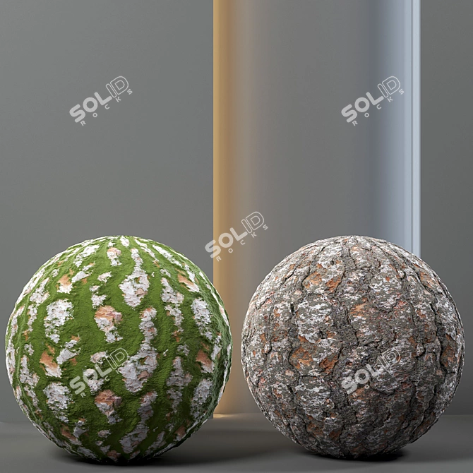 4k Tree Bark Textures Set 3D model image 2