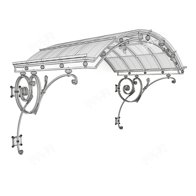 Classic Style Wrought Iron Canopy 3D model image 4