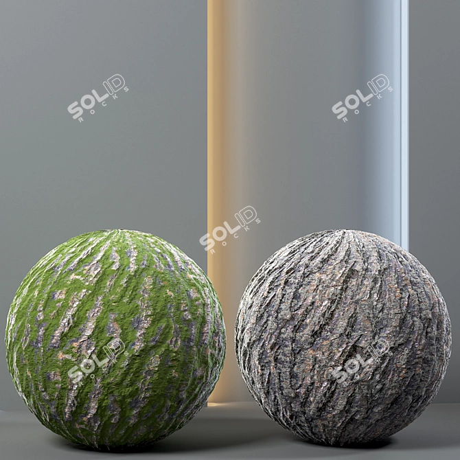 Tree Bark Trunk Texture Pack 3D model image 2