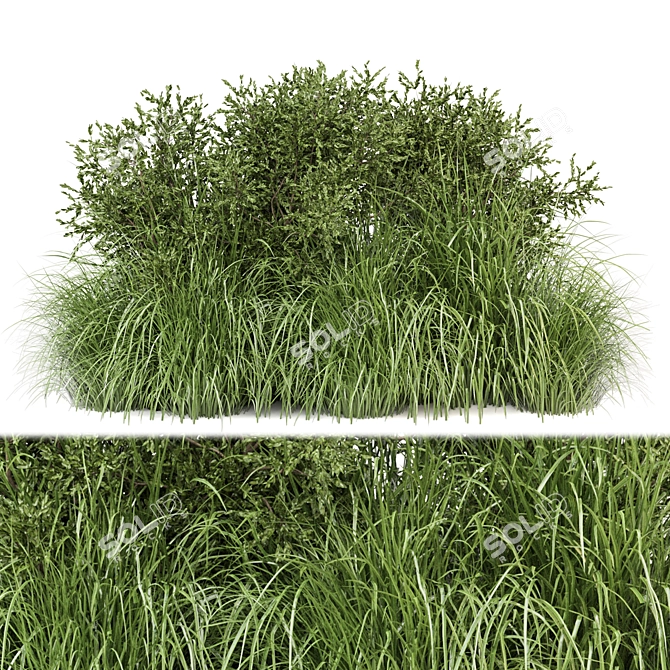 Outdoor Bush Plants 3D Models 3D model image 1