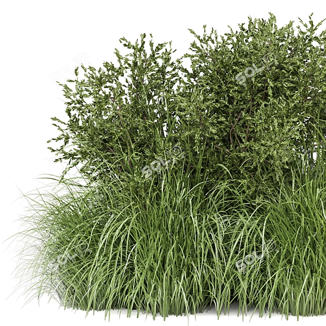 Outdoor Bush Plants 3D Models 3D model image 2