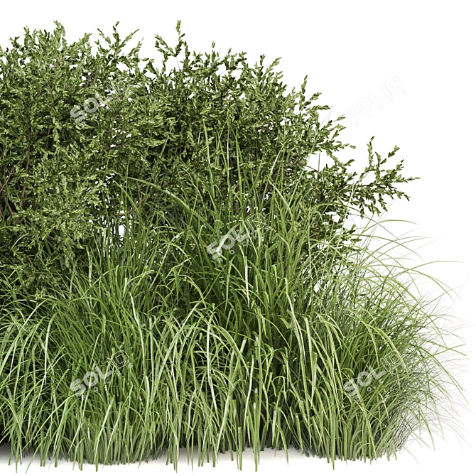 Outdoor Bush Plants 3D Models 3D model image 3