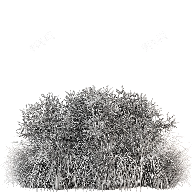 Outdoor Bush Plants 3D Models 3D model image 5