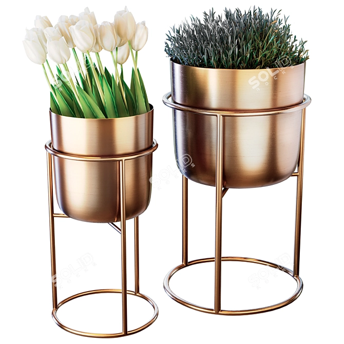 Golden Plant Pot Set.IntegerField 3D model image 1